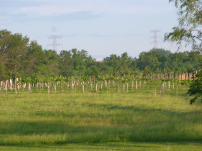 Villa Antonio Winery May 2014 026